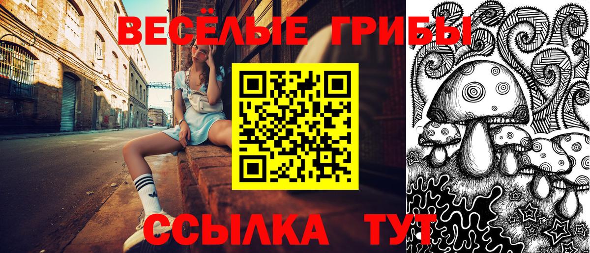 где найти   Галлюциногенные грибы Psilocybine cubensis  Вход с VPN  Елабуга 